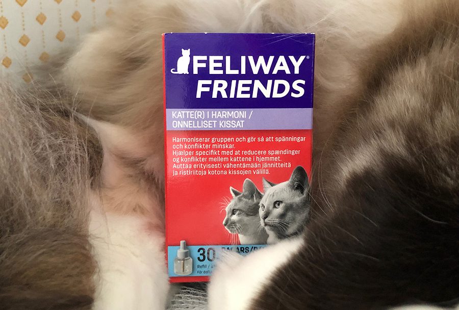 Feliway friends